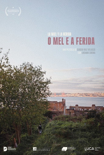 Movie poster for O mel e a ferida (2026)