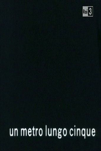 Movie poster for Un metro lungo cinque (1961)