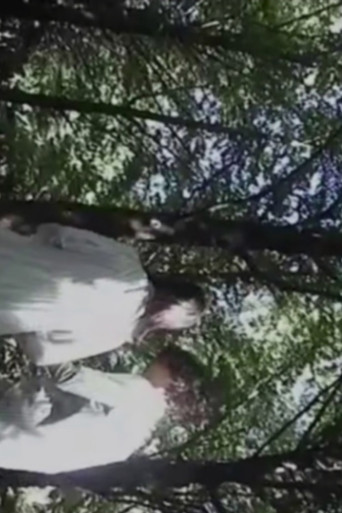 Movie poster for The Honeymoon Song (2005)