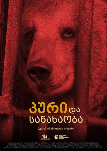 Movie poster for Bread and Circuses (2016)