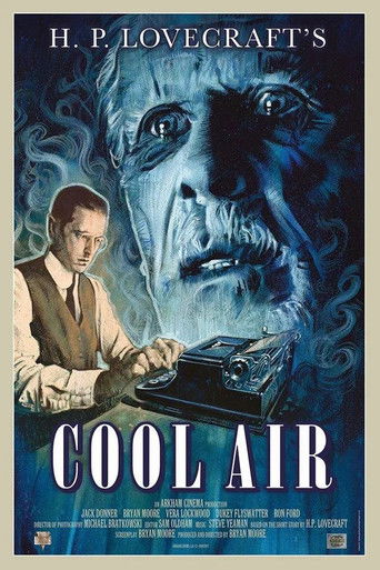 Cool Air poster