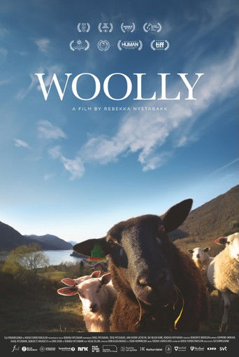 Woolly poster