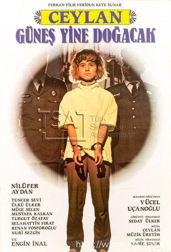 Güneş Yine Doğacak poster