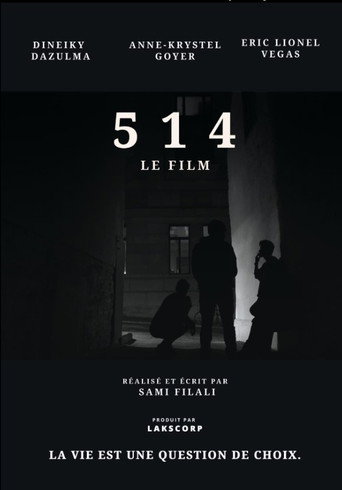514 poster