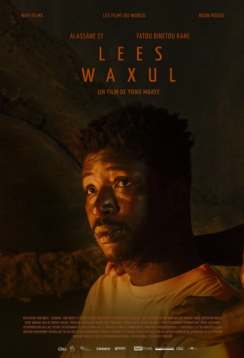 Movie poster for Lees Waxul