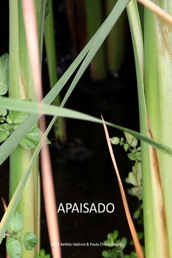 Movie poster for Apaisado (2020)