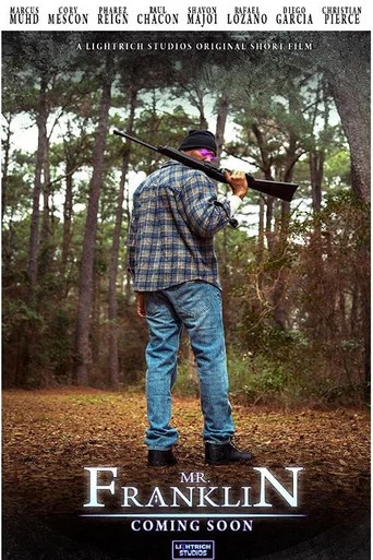 Movie poster for Mr. Franklin (2022)