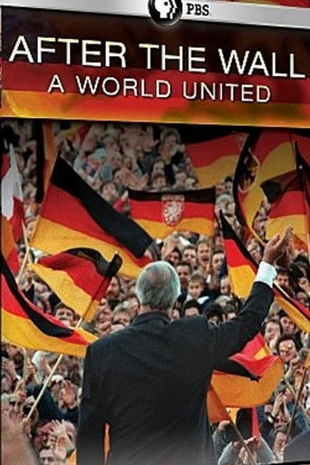 Movie poster for After the Wall: A World United (2011)
