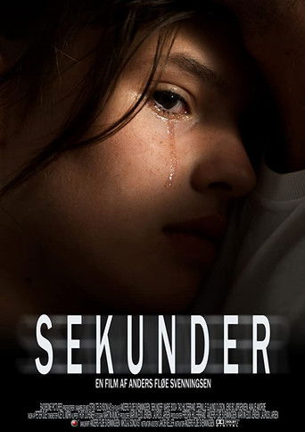 Sekunder poster