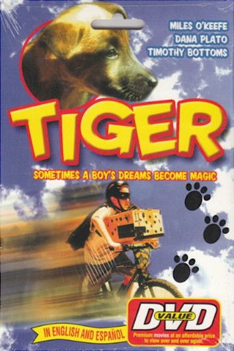 Tiger poster