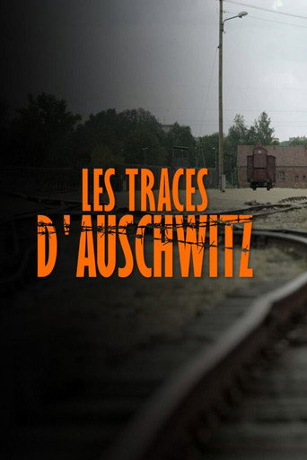 Series poster for Les Traces D'Auschwitz (2021)