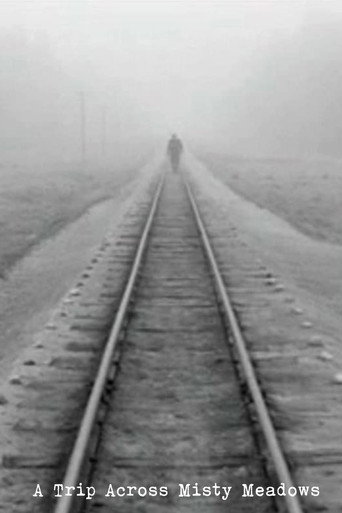 Movie poster for A Trip Across Misty Meadows (1973)