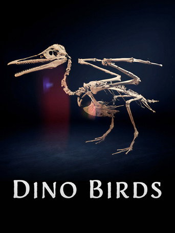 Movie poster for Dino Birds (2025)