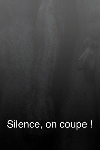 Movie poster for Silence, on coupe ! (2005)