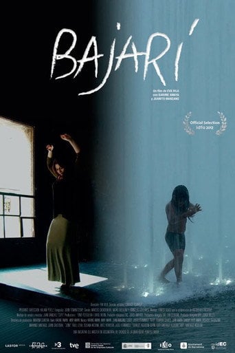 Movie poster for Bajarí (2013)