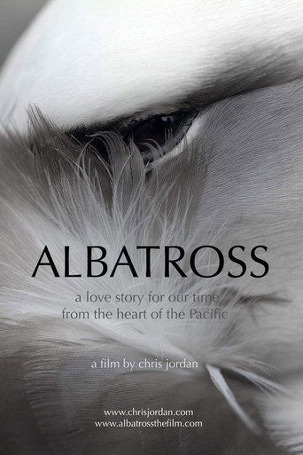 Movie poster for Albatross (2013)