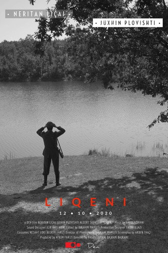 Movie poster for The Lake (2020)