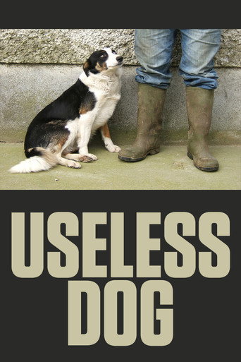 Movie poster for Useless Dog (2004)
