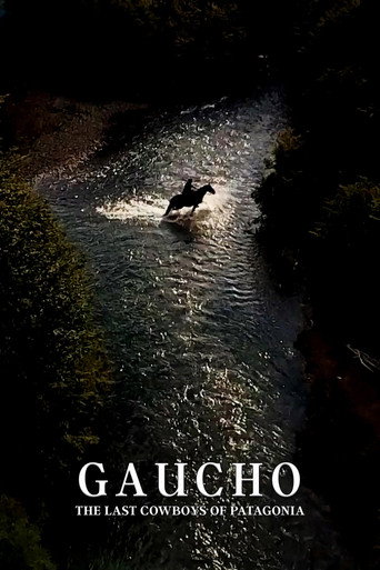 Movie poster for Gaucho: The Last Cowboys of Patagonia (2017)