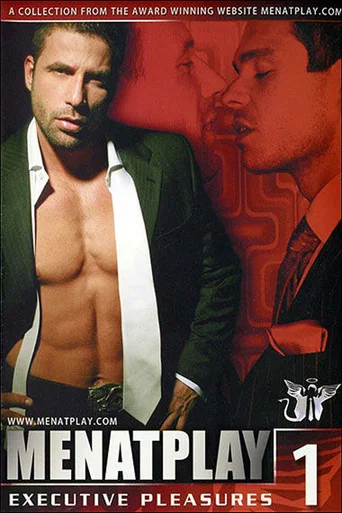 Movie poster for Executive Pleasures 1 (2006)