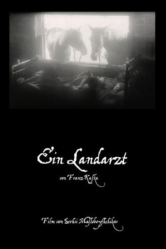 The Village Doctor poster