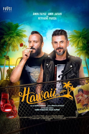 Hawaii poster