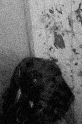 Movie poster for Last Confession (2020)