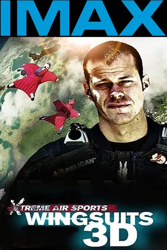 Movie poster for Wingsuit Warrior (2013)