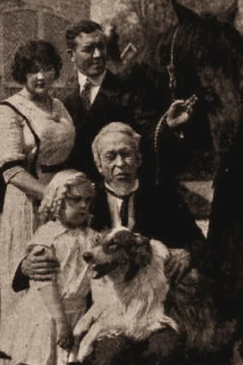 Movie poster for Shep, the Hero (1913)