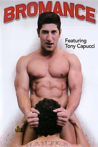 Movie poster for Bromance (2012)