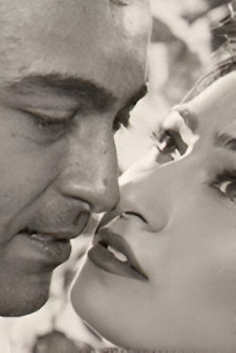 Dil Tou Pagal Hai poster