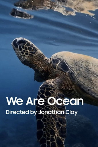 Movie poster for We Are Ocean (2025)