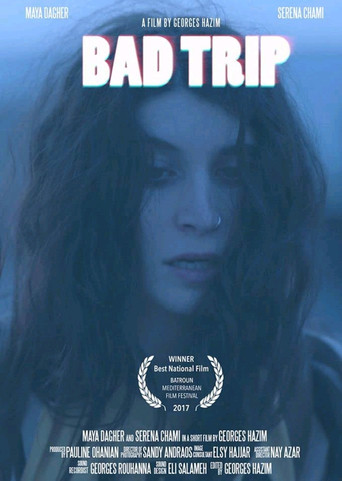 Movie poster for Bad Trip (2017)