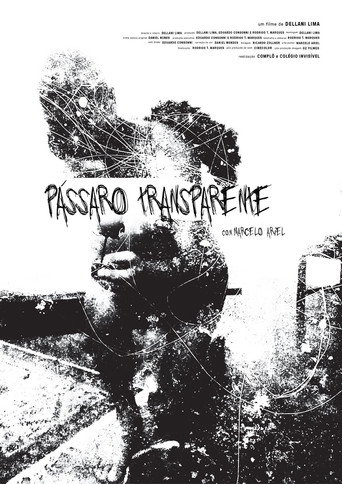 Movie poster for Pássaro Transparente (2017)