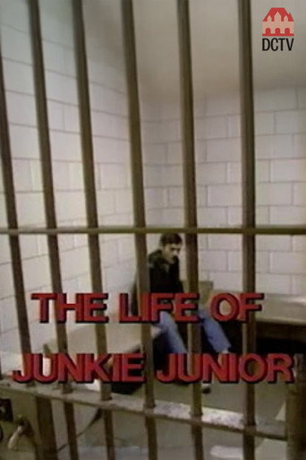 Movie poster for The Story of Junkie Junior (1987)