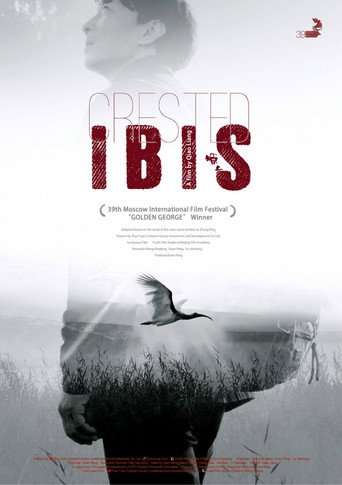 Movie poster for Crested Ibis (2017)