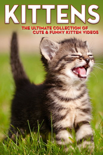Movie poster for Kittens The Ultimate Collection of Cute & Funny Kitten Videos (2006)
