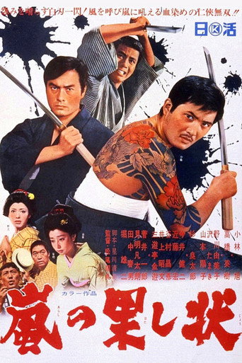 Duel in the Storm poster