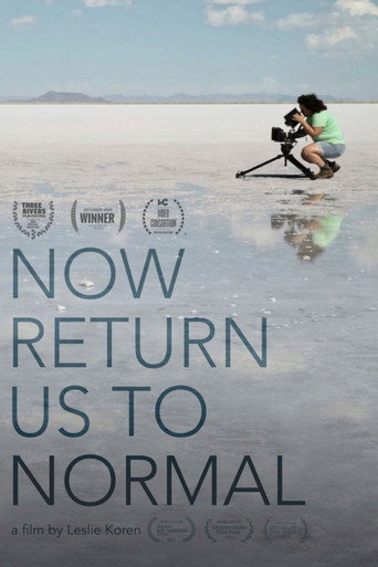 Movie poster for Now Return Us To Normal