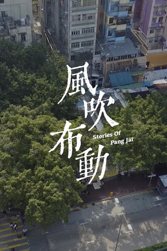 Movie poster for Stories of Pang Jai (2020)