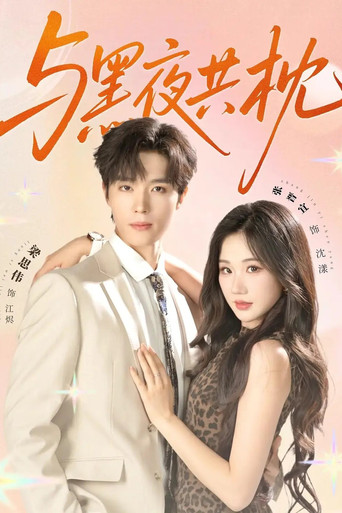 与黑夜共枕 poster