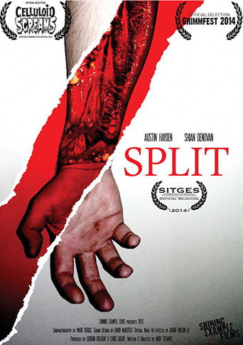 Movie poster for Split (2014)