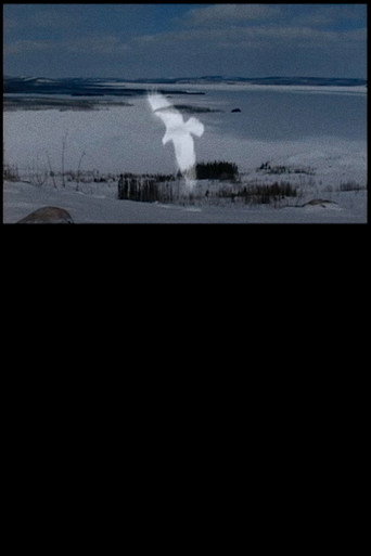 Movie poster for Innu (1994)