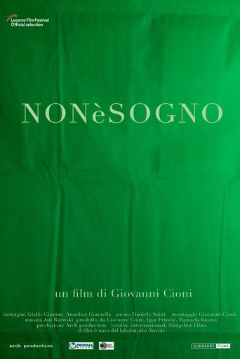 Movie poster for Not a Dream (2019)