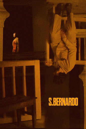 Saint Bernard poster