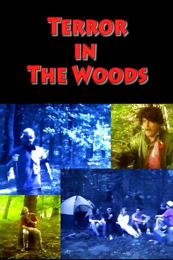 Movie poster for Terror in the Woods (1993)