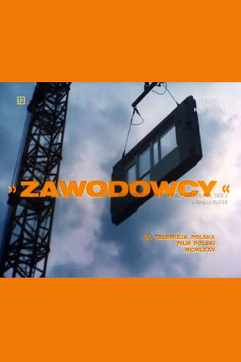 Zawodowcy poster