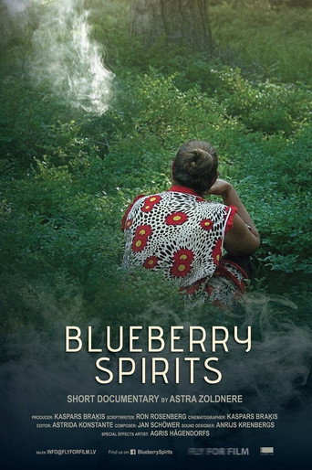 Movie poster for Blueberry Spirits (2017)