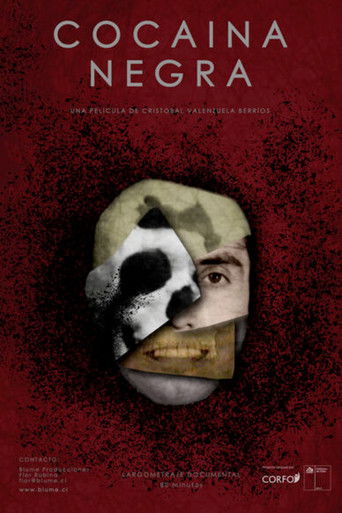 Black Cocaine poster