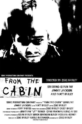 Movie poster for From The Cabin (2025)